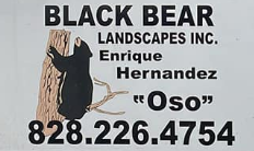 Black Bear Landscapes, Inc - Spare Sponsor $1,000