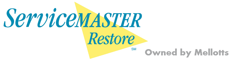 Service Master Restore