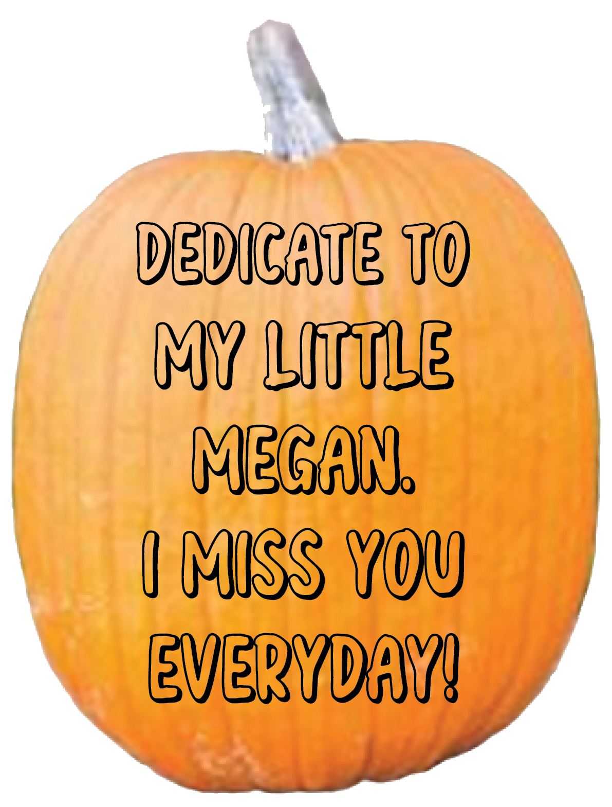 Thank you, Shannon Benendes, for your donation of $52.22.