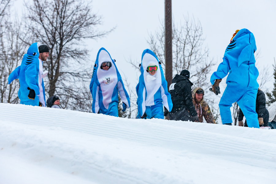 Shark Attack!
