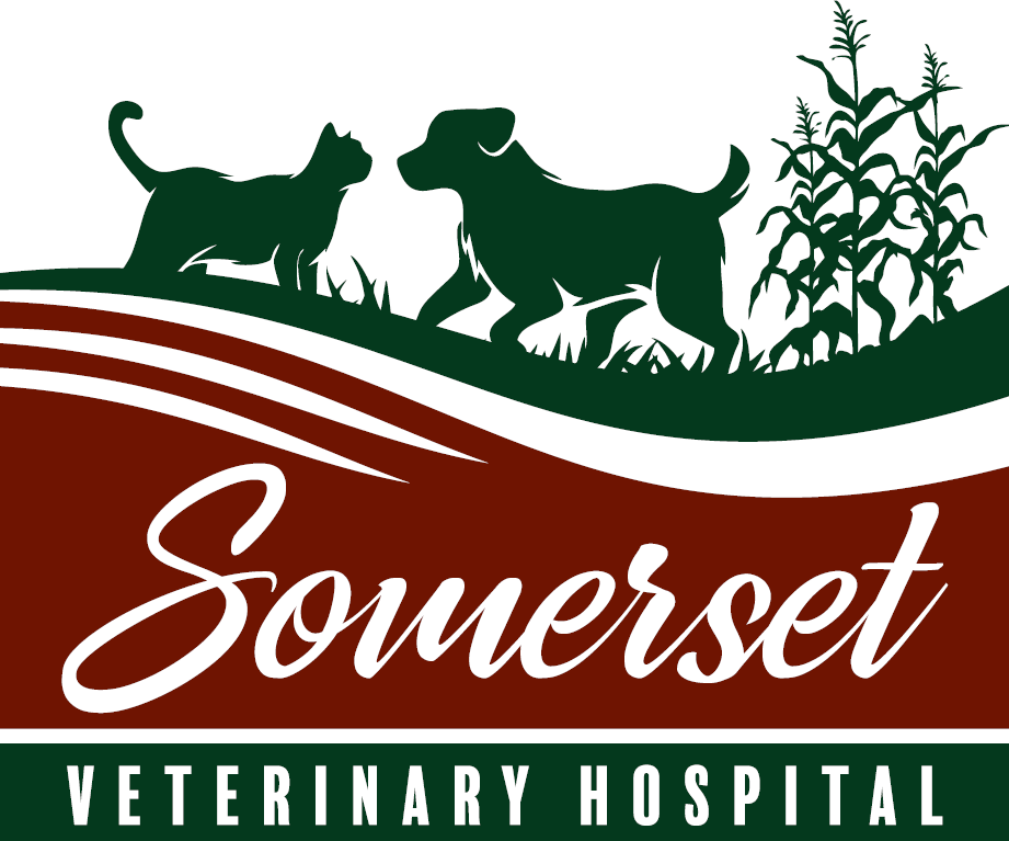 Somerset Veterinary Hospital, Ames