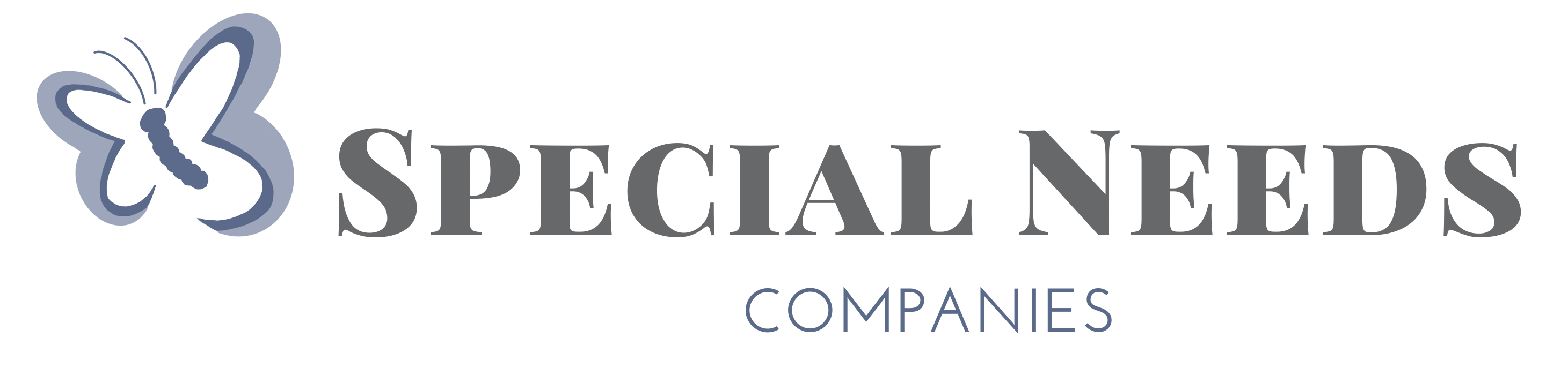 Special Needs Companies