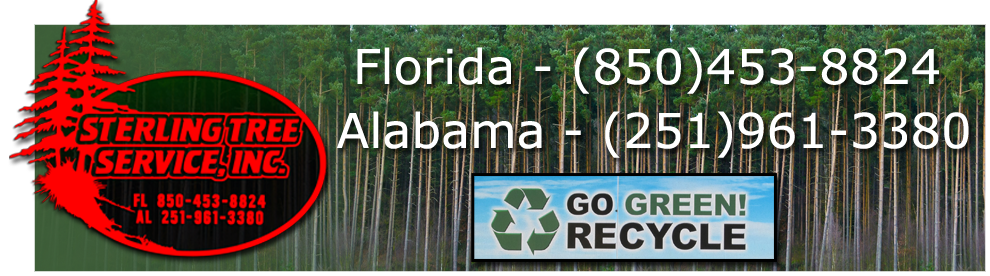 Sterling Tree Service