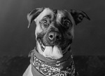 https://secure.qgiv.com/event/account/584063/