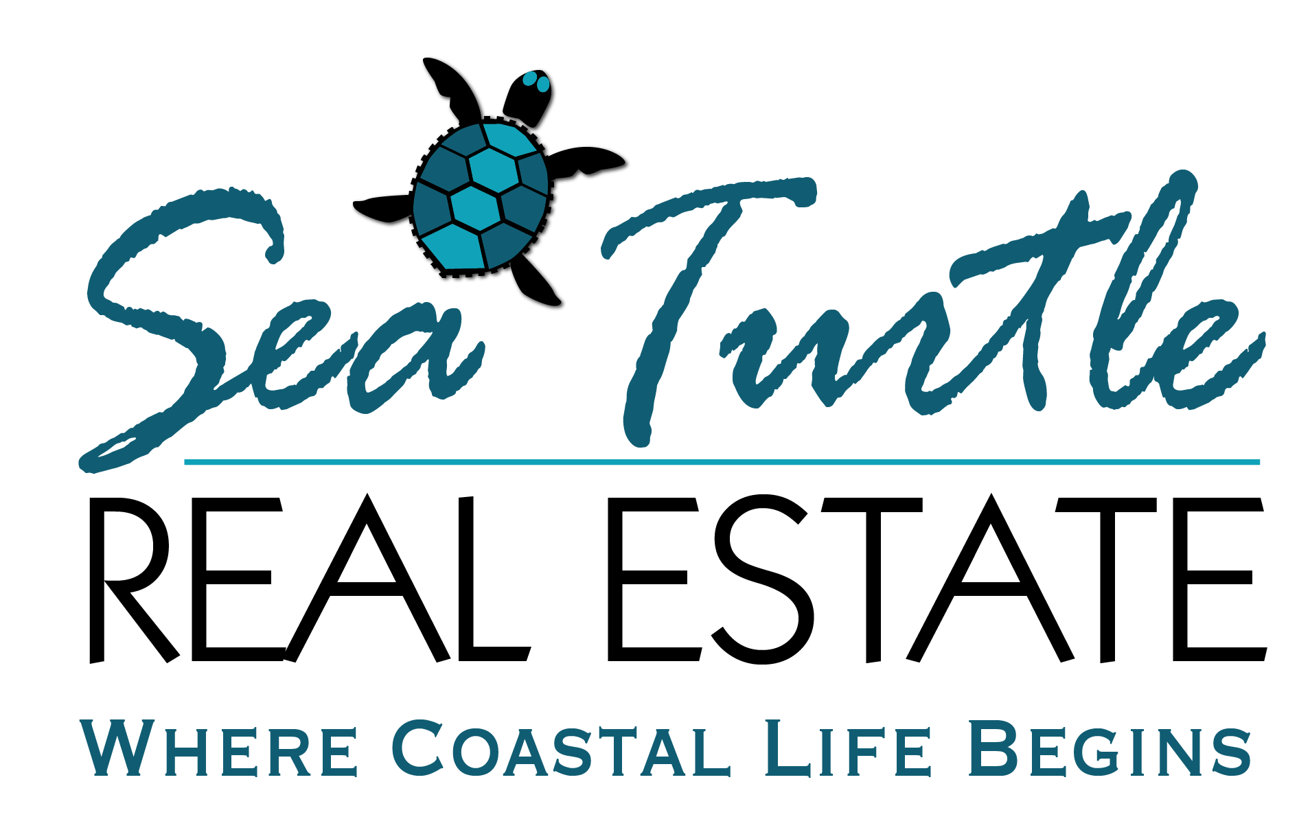Sea Turtle Real Estate