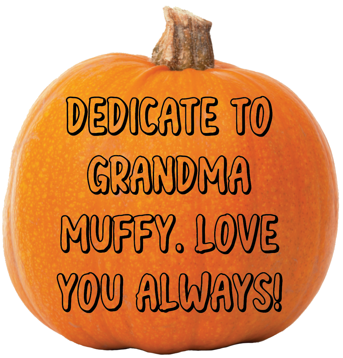 Thank you Susan Porter, for your donation of $52.22.