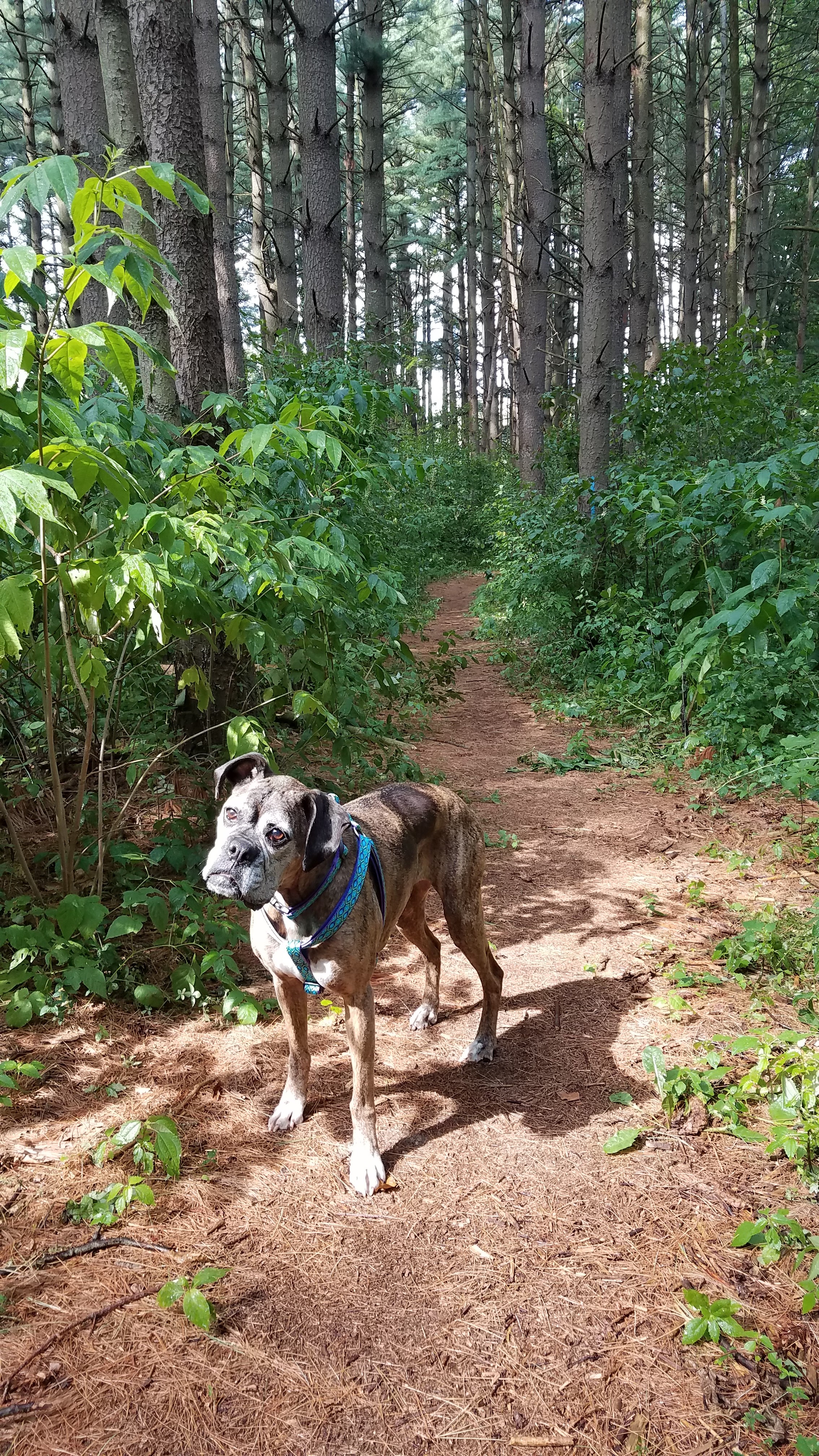 My Mom says this is one of her favorite pictures of me.