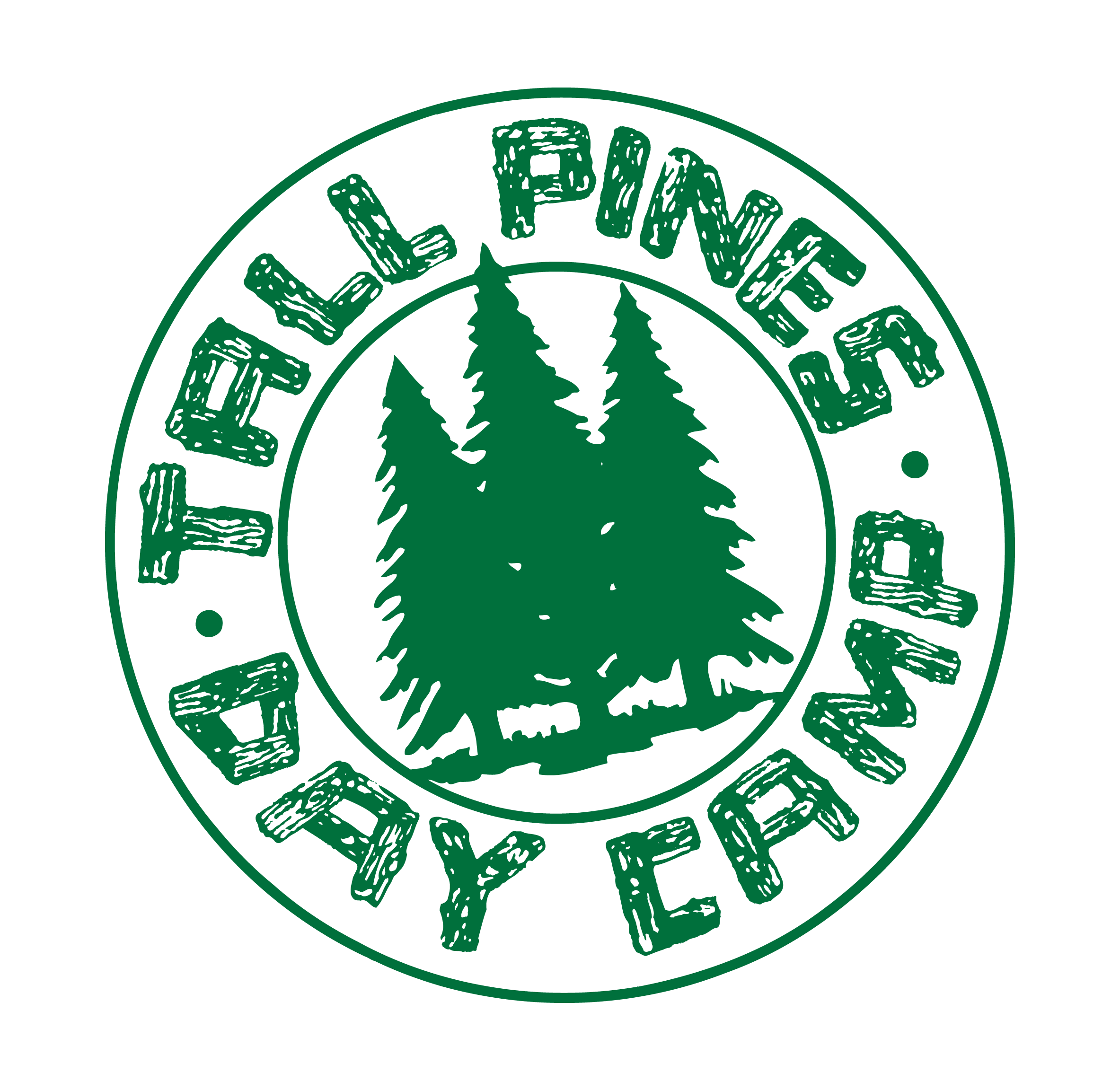 Tall Pines Day Camp