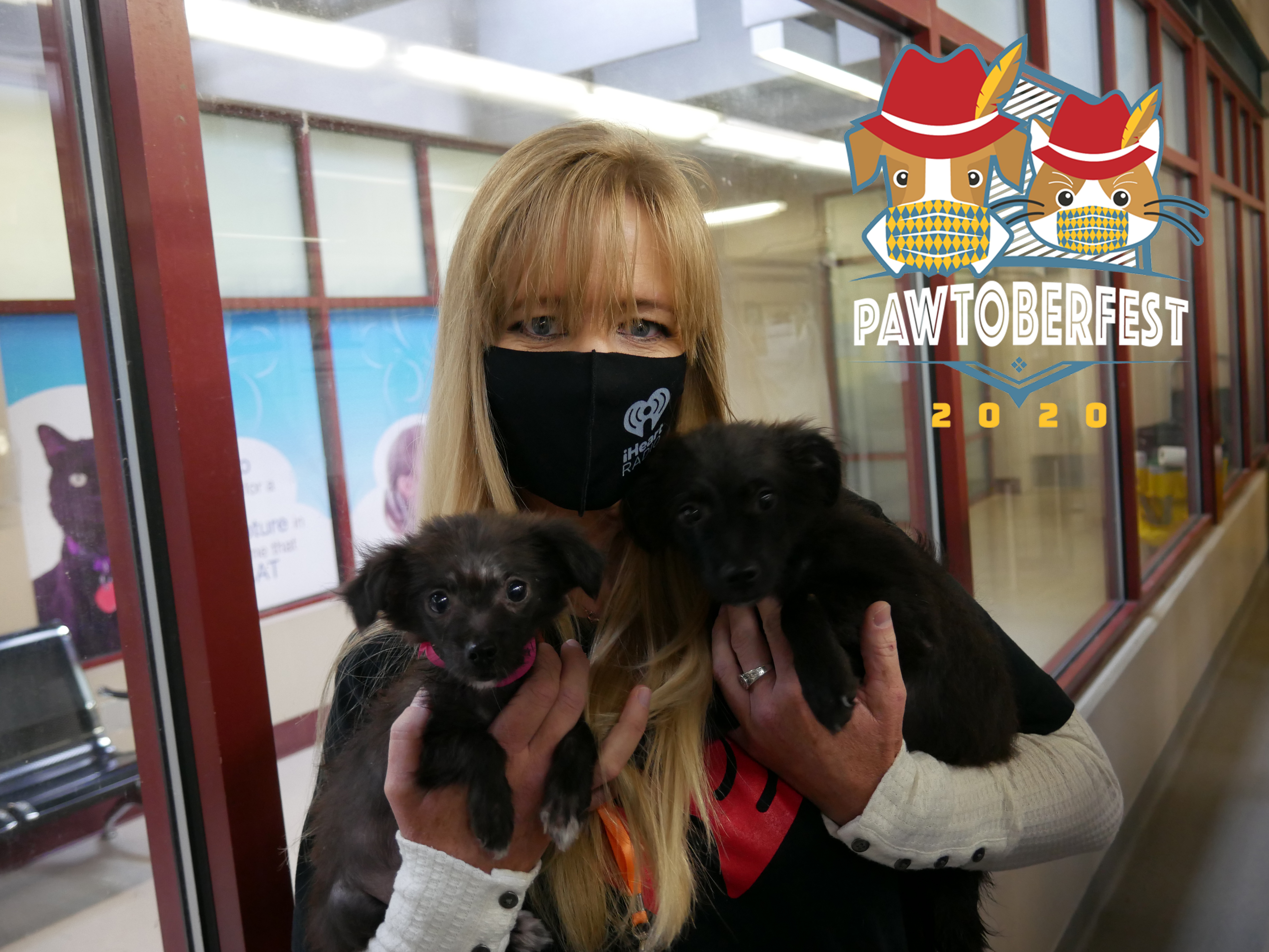 No Tricks Just Treats for HSPPR's Pets