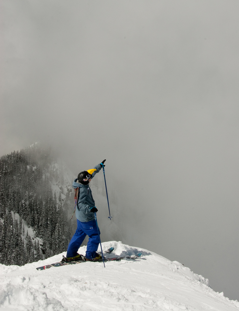 Peregrine Falcons on the Ridge