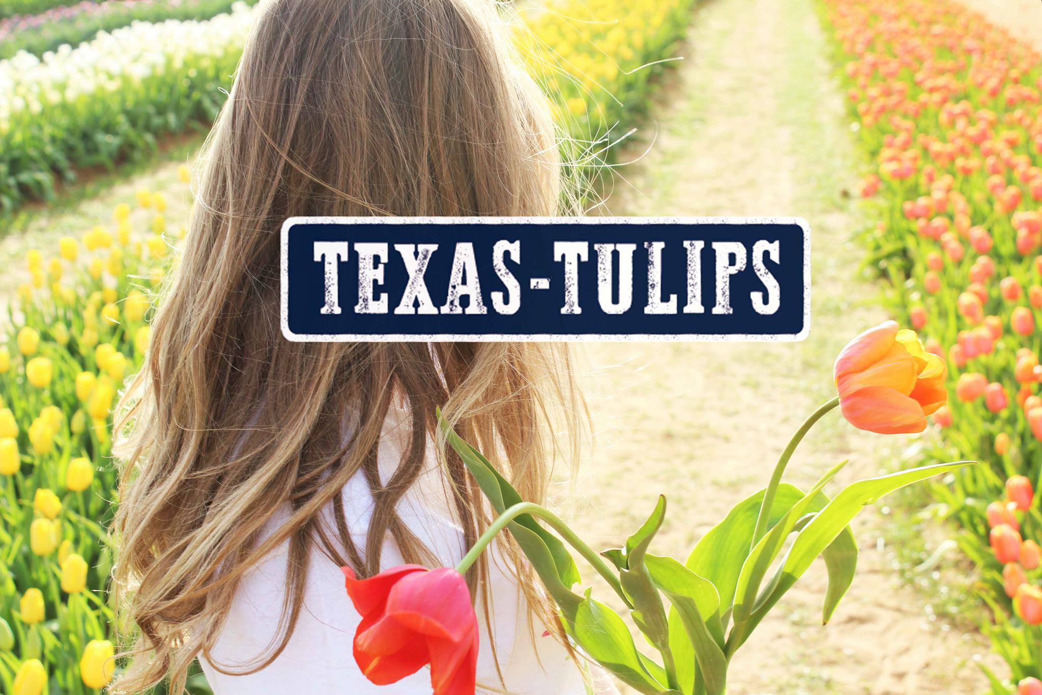 Texas-Tulips LLC