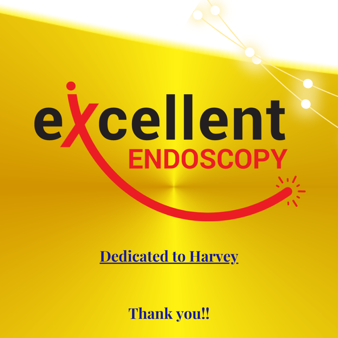 Excellent Endoscopy