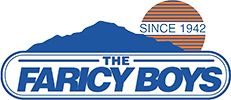 The Faricy Boys