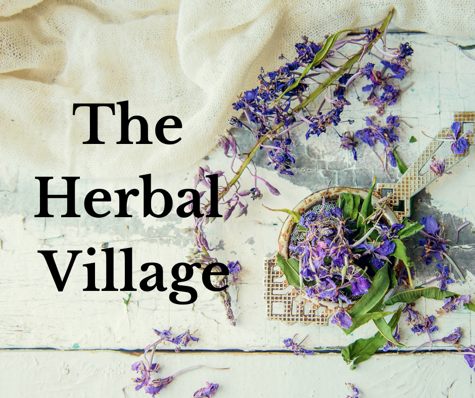 1 Year Membership to the Wild Rose Herbal Village from Wild Rose College