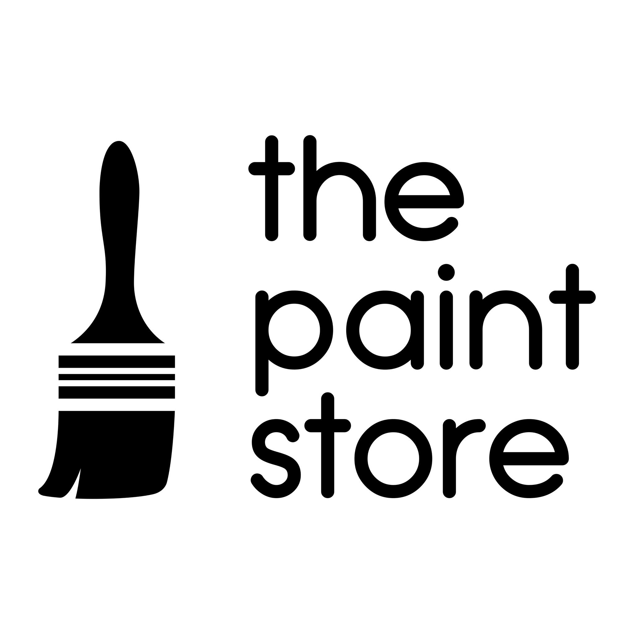 The Paint Store