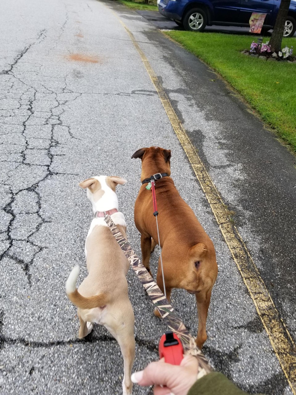 Our first walk together