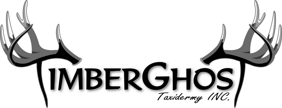 TimberGhost Taxidermy