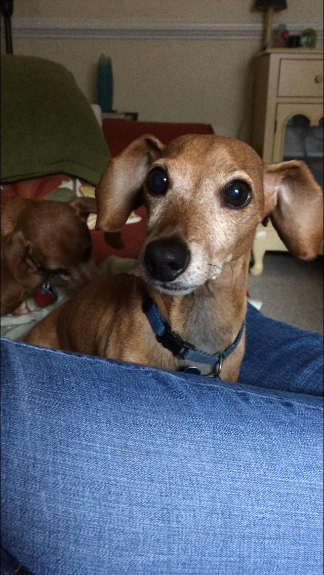 Just chillin with mom