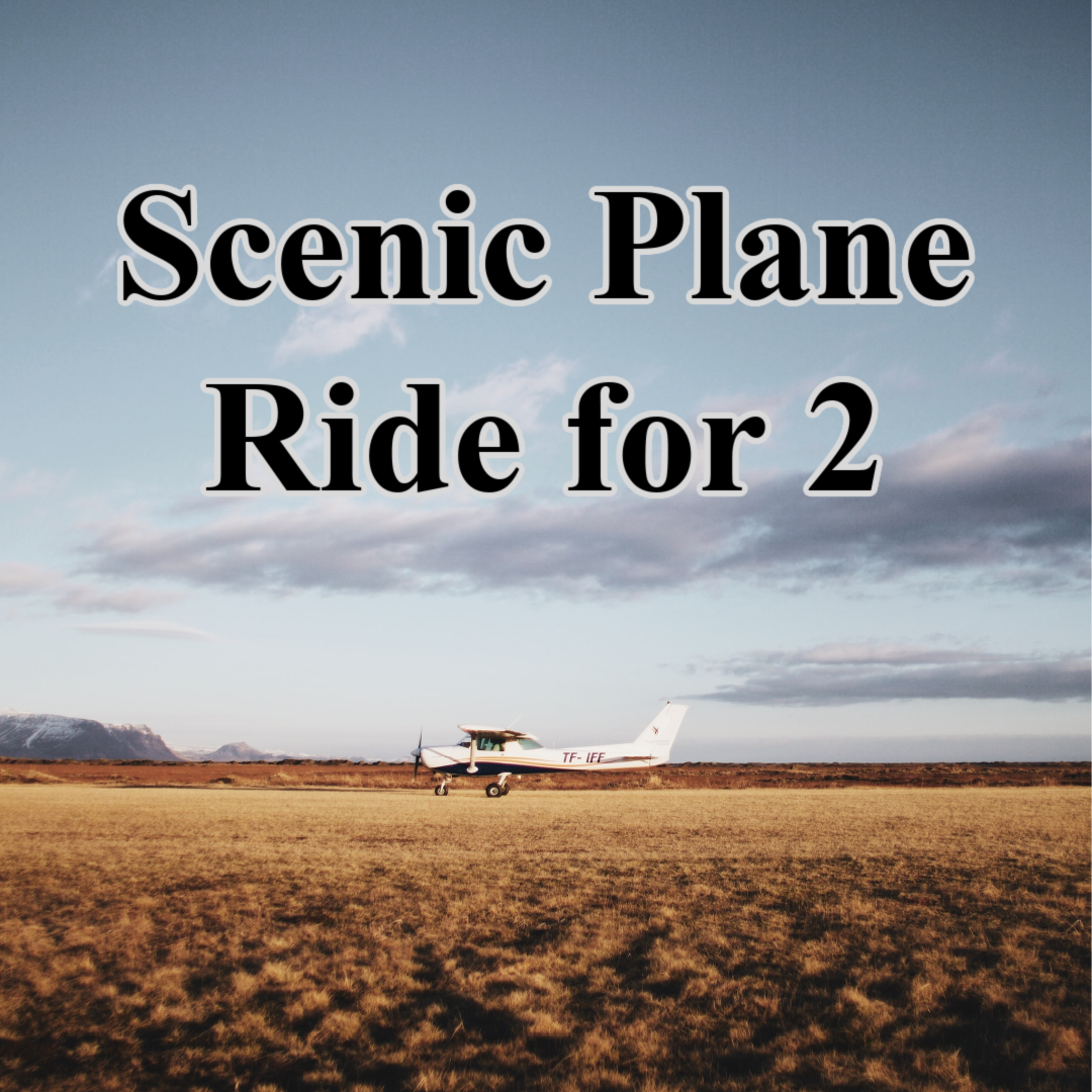 Scenic Plane Ride for 2