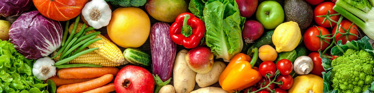 2023 Stamp Out Hunger