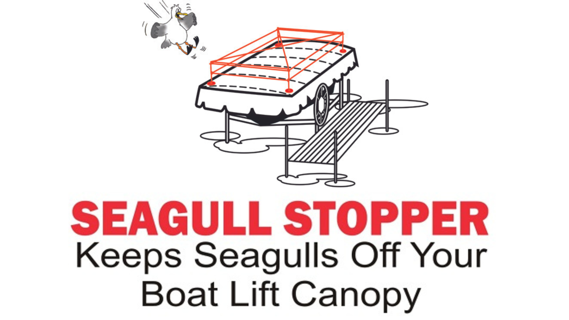 Seagull Stoppers