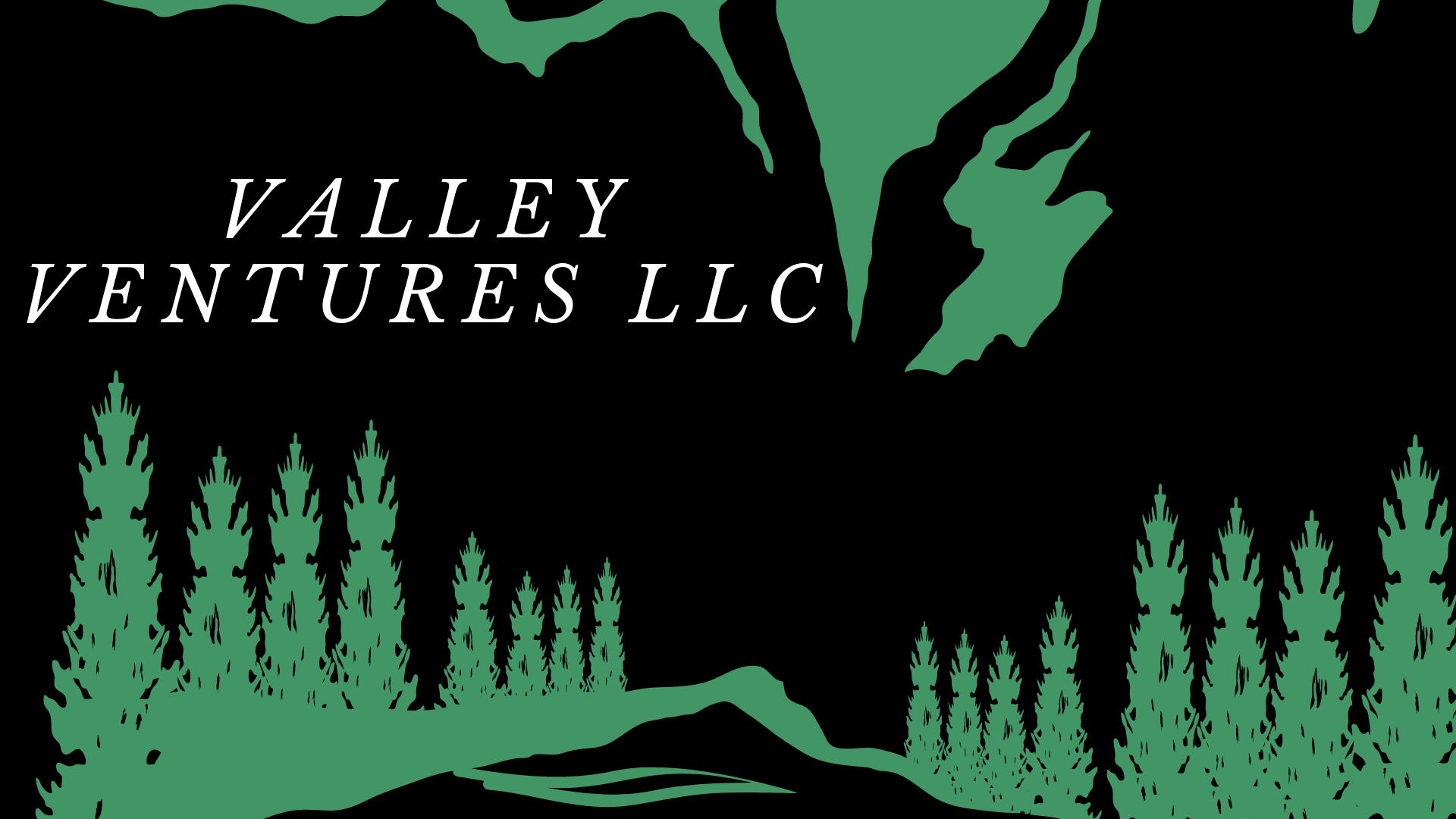 Valley Ventures LLC