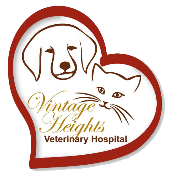 Vintage Heights Veterinary Hospital 
