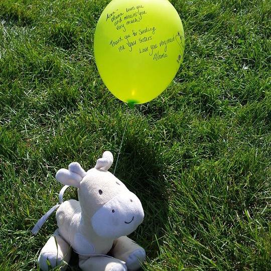 Aren's Balloon and Giraffe