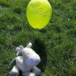 Aren's Balloon and Giraffe