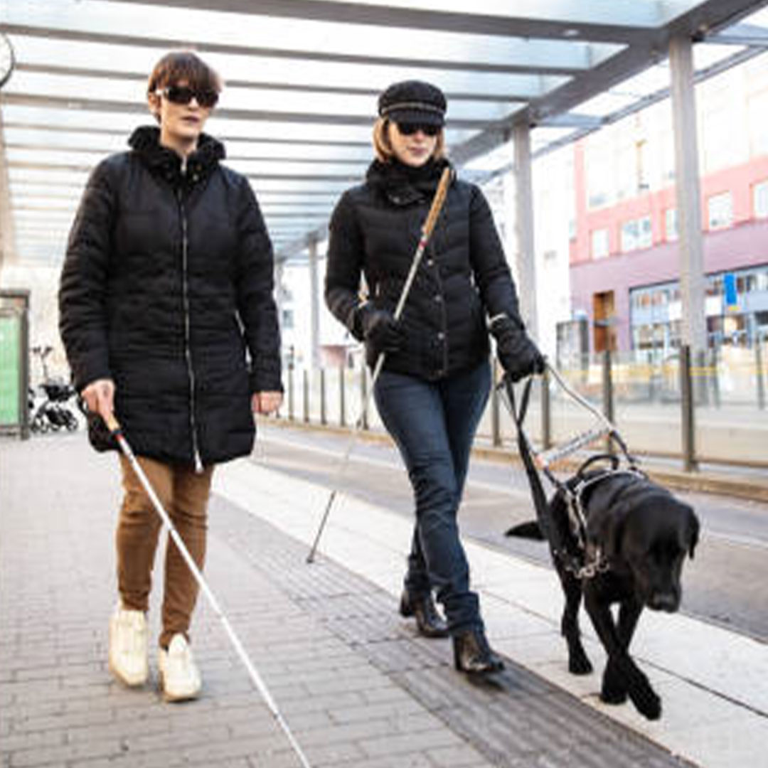 Two women walk in the city with white canes and a dog.