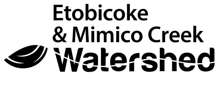 Etobicoke-Mimico