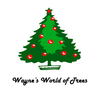 Wayne's World of Trees