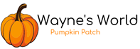 Wayne's World Pumpkin Patch