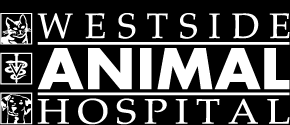 Westside Animal Hospital