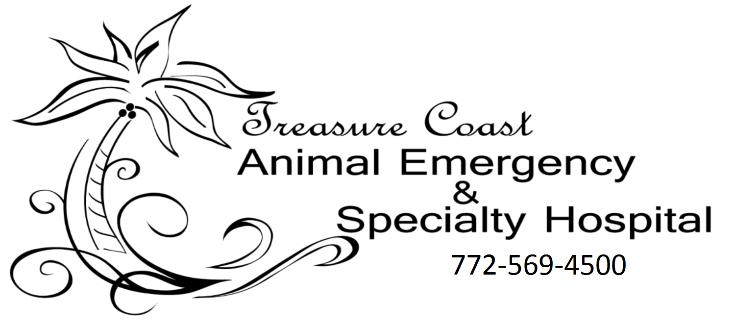 Treasure Coast Animal Emergency & Specialty Hospital