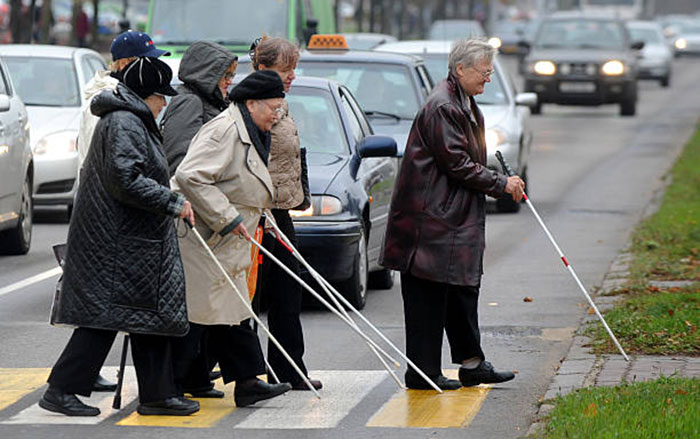 A group of people using white canes cross the street.