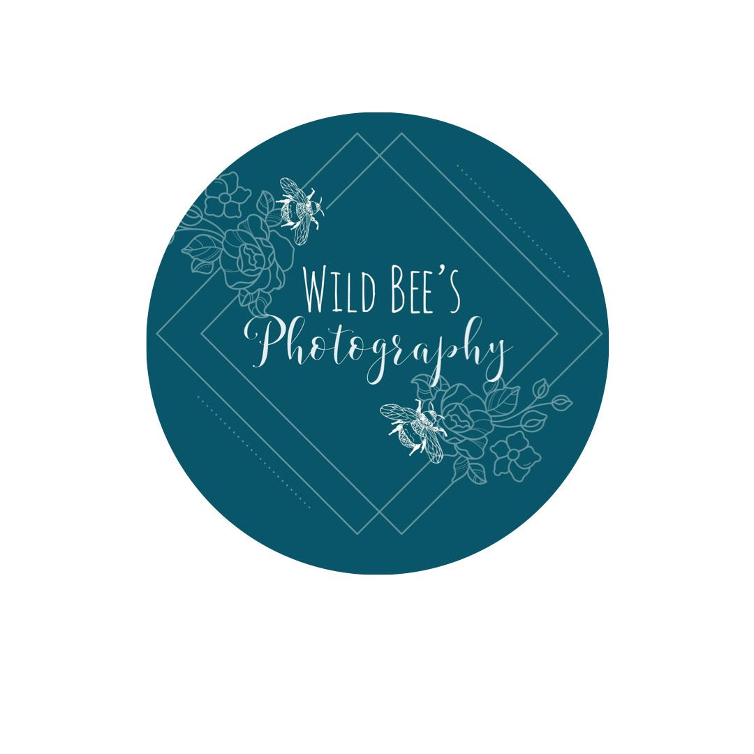 Wild Bee's Photography