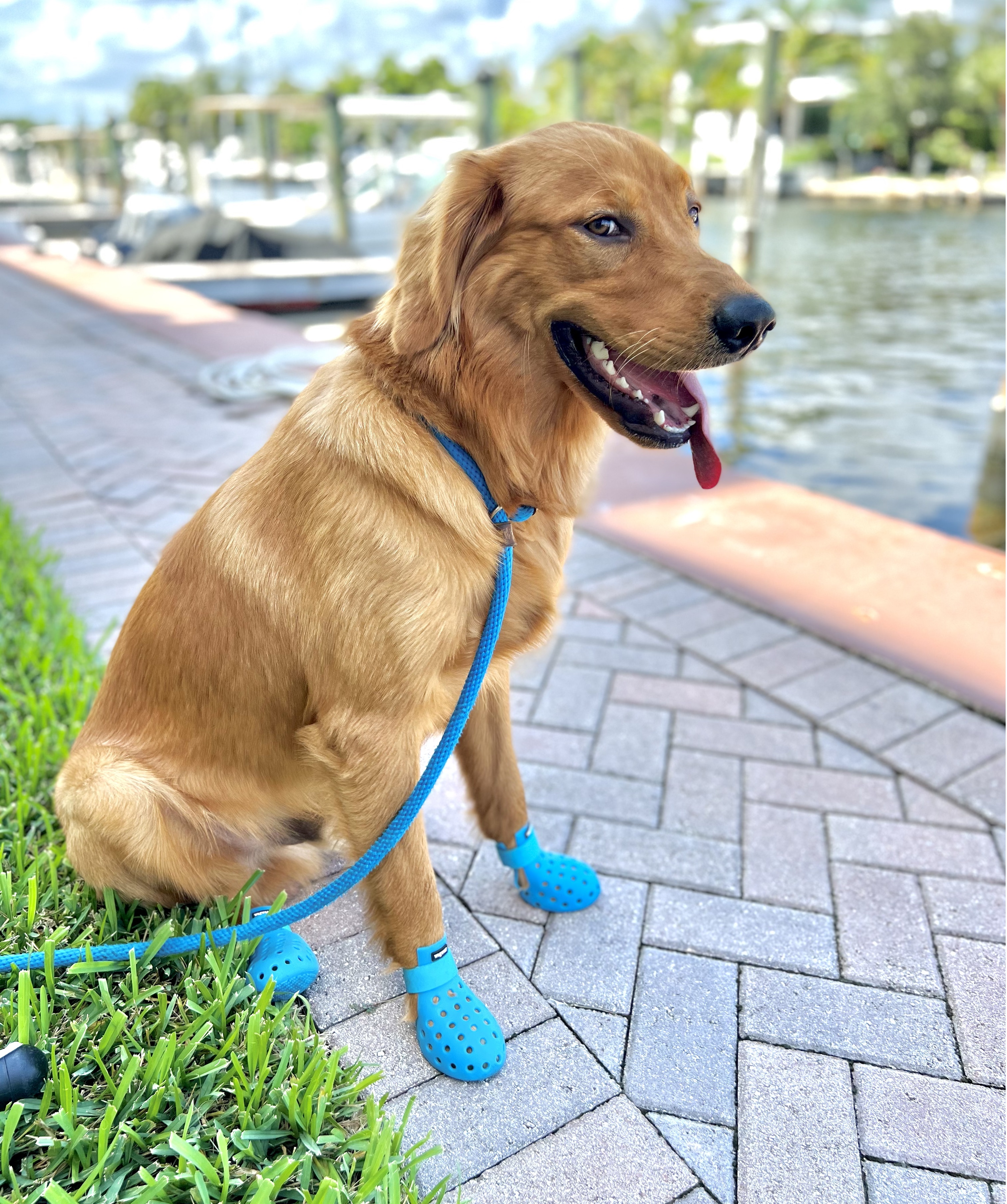 Wrangler in Boots