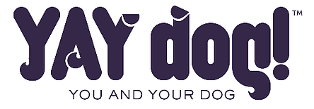 YAY Dog!