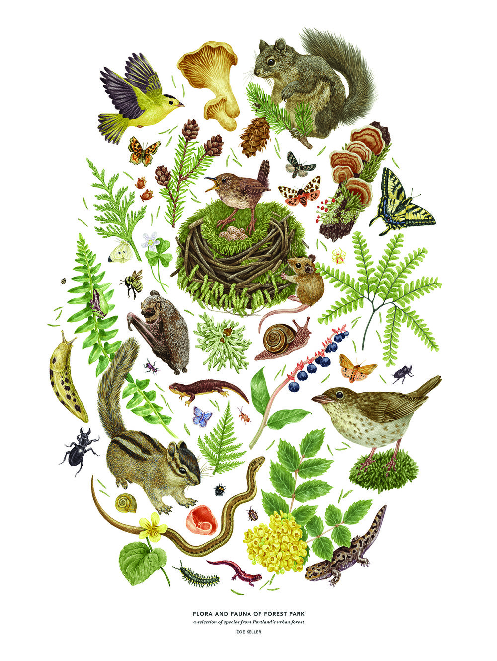 Win art by local artist, Zoe Keller!